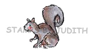 D-200-HK Squirrel Left Facing